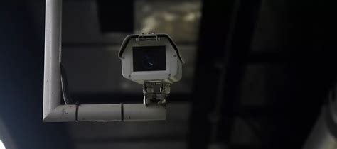 Witness Protection M2F 的图像结果