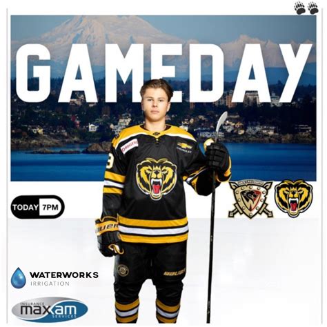 Gameday Preview: Grizzlies vs Warriors November 22, 2024 | Victoria ...