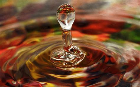 Buy Go Green Tale Nature Wall Sticker|Water Drop Sticker Poster|Wall ...