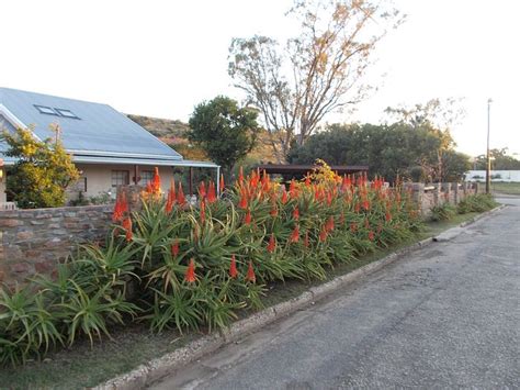 ADDO REACH AND HEIN'S COTTAGE (Alicedale) - B&B Reviews & Photos ...