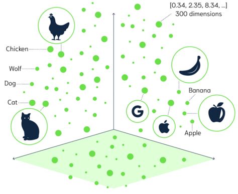 Vector Search Algorithm 的图像结果