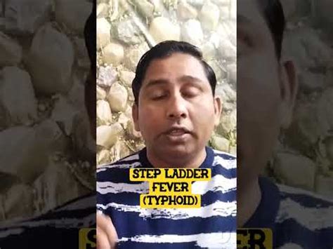 Step Ladder Fever 的图像结果