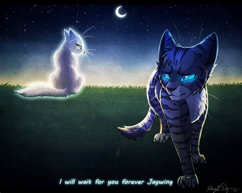 Jayfeather Warrior Cats Image - Jayfeather anime.jpg - Free Realms ...