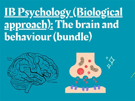 Biological Approach Examples 的图像结果