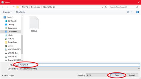 Image result for How to Use Pkhex