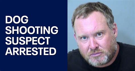 ‘It could’ve been a child’: Man accused of shooting dog in the face ...