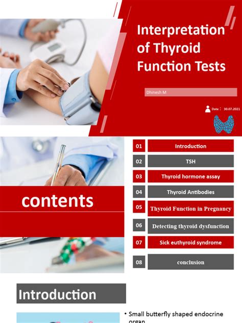 Thyroid Function Test Explained 的图像结果
