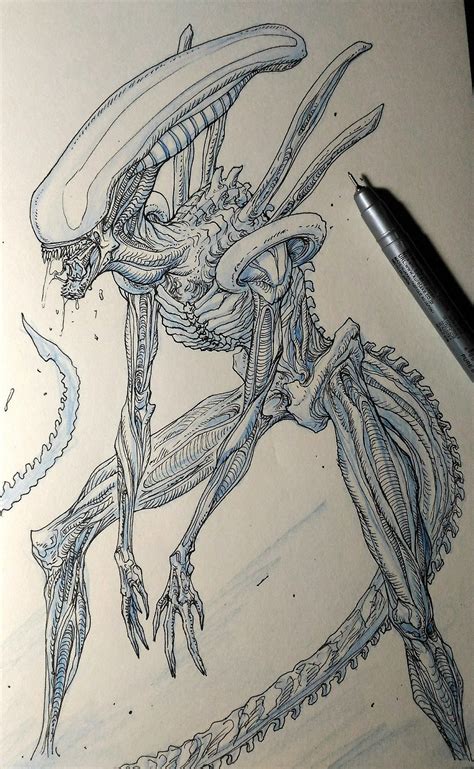 Xenomorph Drawing Tutorial 的图像结果