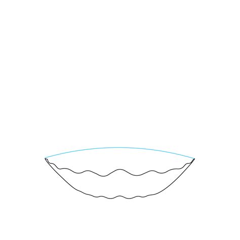 Seashell Drawing Tutorial 的图像结果