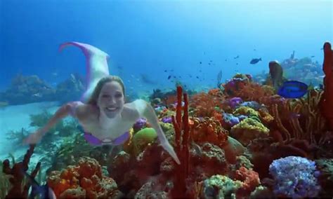 Image result for Shark Week 2016