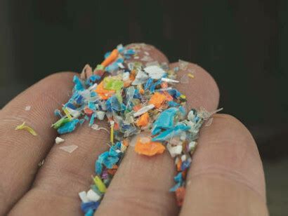 Growing threat of microplastics: burden on human health | Meer