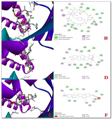 Ursolic Acid and Solasodine as Potent Anti-Mycobacterial Agents for ...