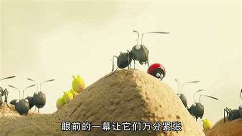 蚂蚁的通讯_腾讯视频