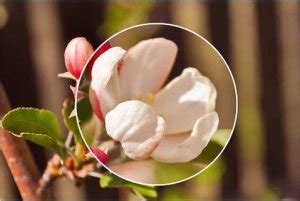 Image result for PowerPoint Zoom Effect Animation