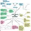 draw a mind map on plant physiology please fast it's urgent - Brainly.in