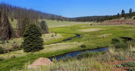 Three Forks, White Mountains, AZ : r/arizona