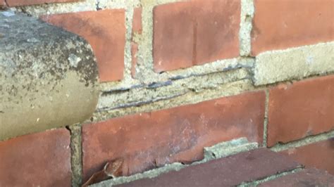 Image result for Damp Course Problems