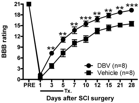 Repetitive Treatment with Diluted Bee Venom Attenuates the Induction of ...