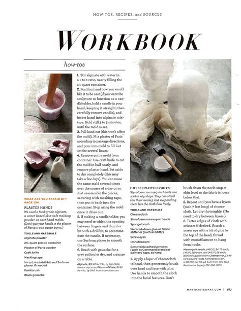 Image result for Using Cheese Cloth with Plaster