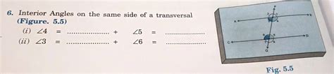 Interior Angles on the same side of transversal - Brainly.in