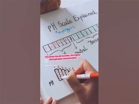 PH Scale Explained 的图像结果
