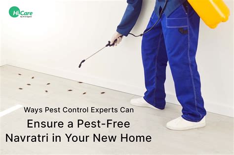 Pest Control Tips for a Pest-Free Navratri in Your New Home – HiCare (A ...