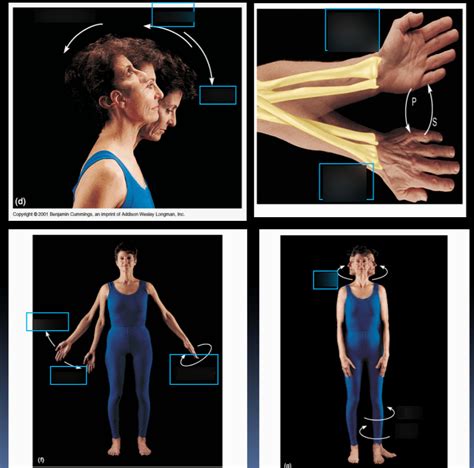 Image result for Flowchart of Body Movement