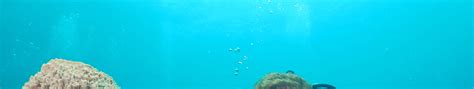 Discover Scuba Diving in Koh Tao with PADI 5 Star IDC Resort - Explore ...
