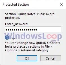 Image result for Lock Pages OneNote
