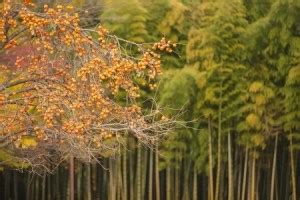 Image result for Moduleization
