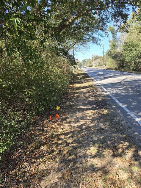 40 lbs,40 dollars. Early morning pick on Wilde Lake. Nice and cool. A ...