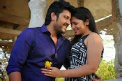 Telugu film Swimming Pool photos gallery