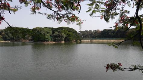 Lalbagh Botanical Garden |Bangalore|