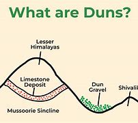 Image result for DUNS