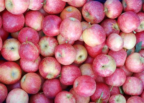 Fresh Pink Lady Apples Each | Woolworths