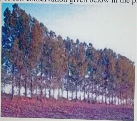 Identify the method of soil conservation given below in the picture and ...