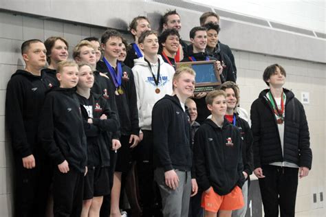 Swim Gallery Aleks 的图像结果