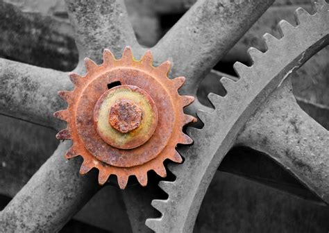 Role of Technology 的图像结果