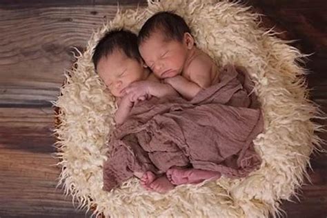 为什么现在好多明星都生双胞胎，真是做的试管婴儿吗？