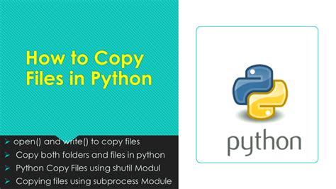 Python Copy Paste Files 的图像结果