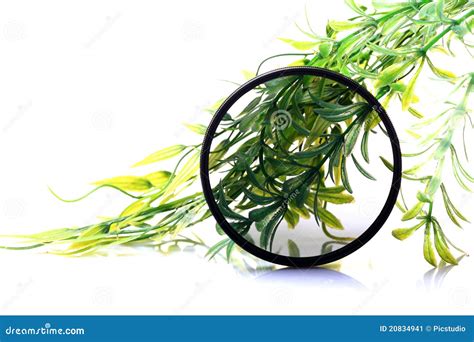 How to Remove Circular Polarized Lens Filter 的图像结果