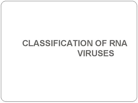 Image result for RNA Virus Classification