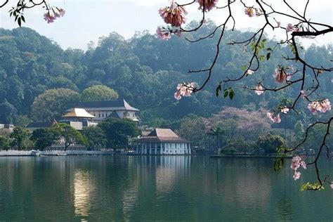 (2026 Tickets) Kandy Private Day Tour From Colombo - with Reviews