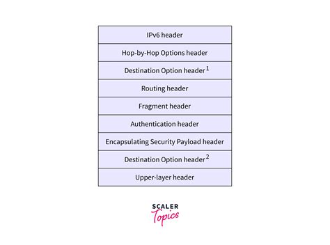 IPv6 Extension Header 的图像结果