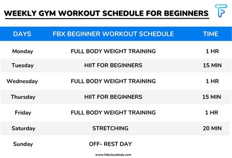 Image result for Daily Workout Routine for Beginners