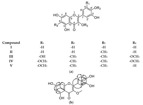 Antifungal Activity of Extracts, Fractions, and Constituents from ...