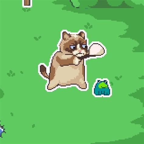 Image result for Grumpy Cat Game