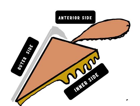 Image result for Retail Store Sticker Display