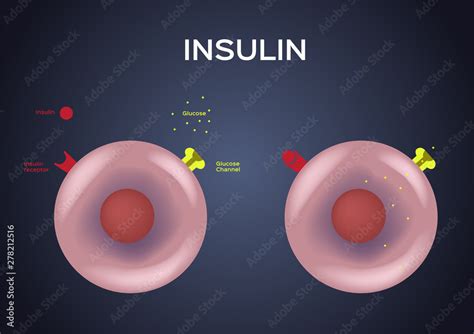 Image result for Insulin Management Algorithm