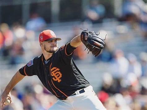 Vertical Diet Explained 的图像结果